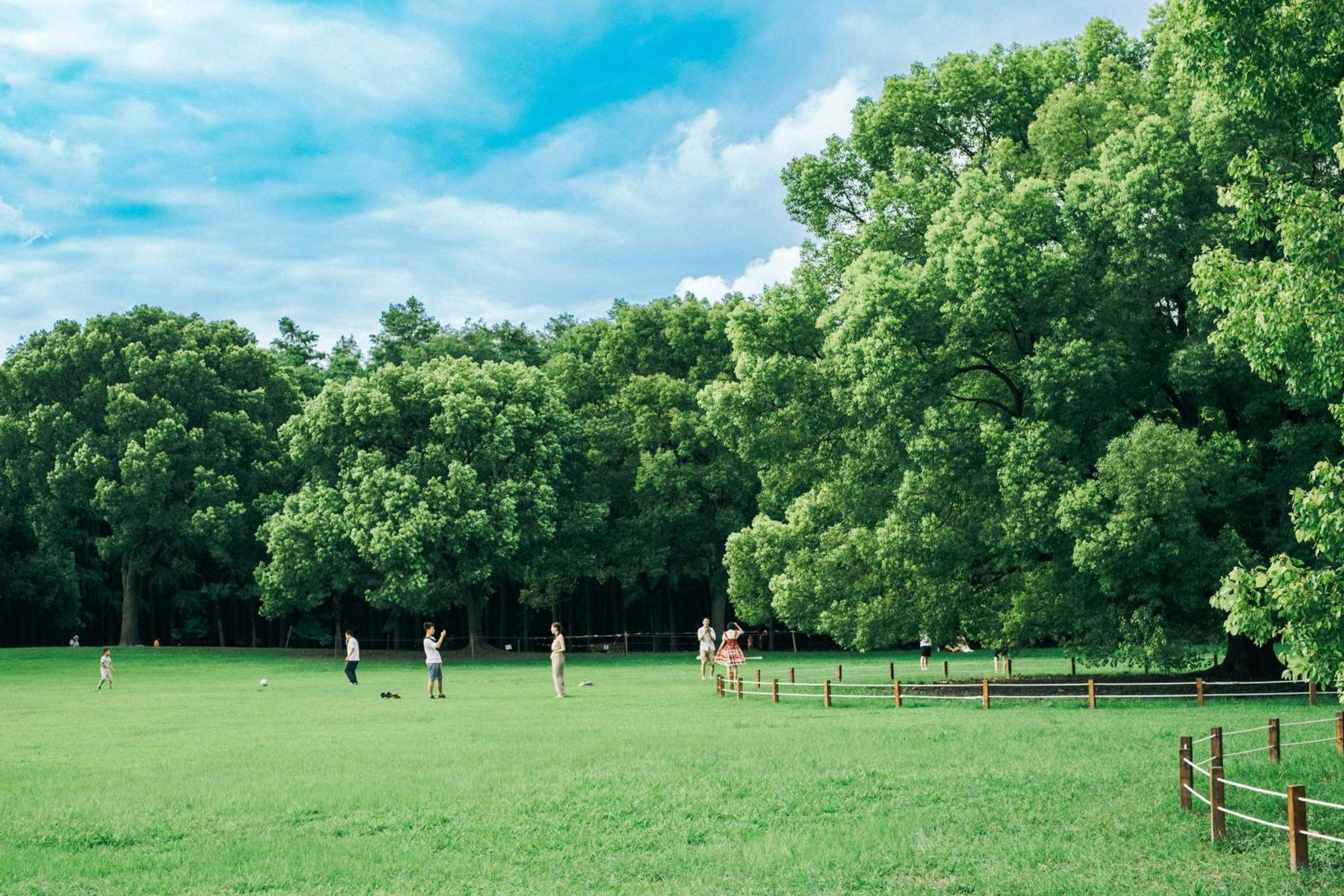 Sojourn Lodging 세비어빌 외부 사진